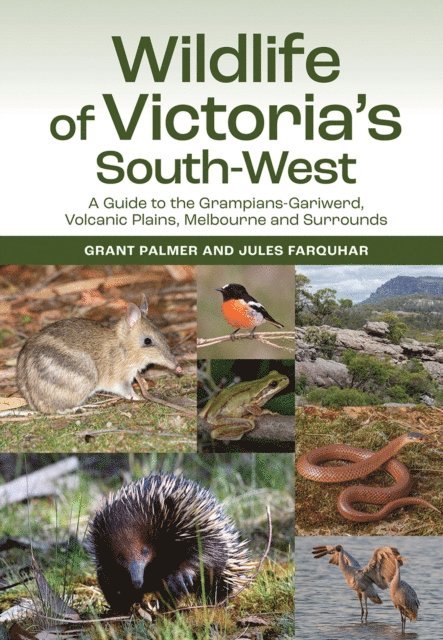 Jules Farquhar, Grant Palmer - Wildlife of Victoria's South-West, E-bok