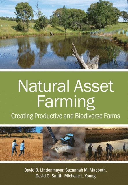 Michelle L. Young, David G. Smith, Suzannah M. Macbeth, David B. Lindenmayer - Natural Asset Farming, E-bok