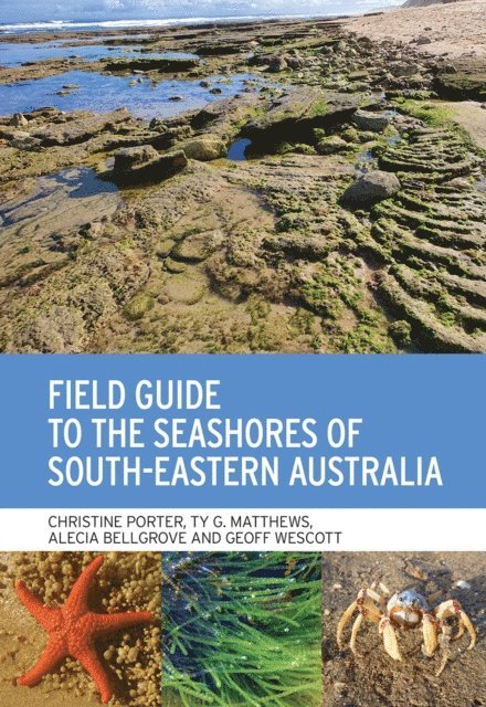 Geoff Wescott, Alecia Bellgrove, Ty G. Matthews, Christine Porter - Field Guide to the Seashores of South-Eastern Australia, E-bok