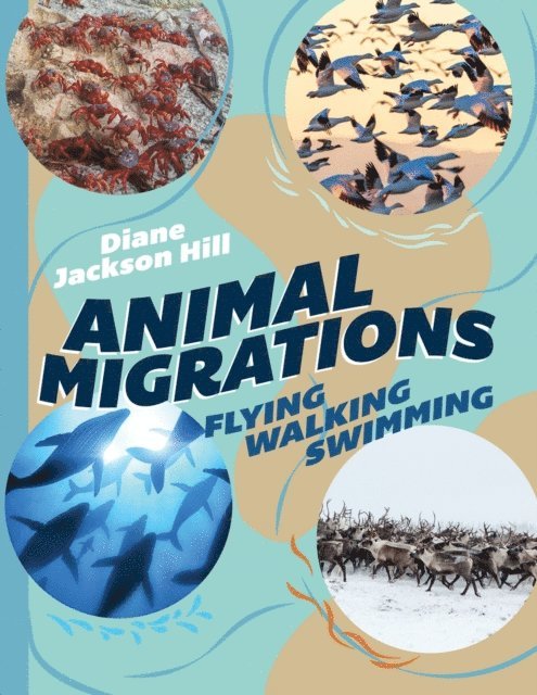 Diane Jackson Hill - Animal Migrations, E-bok