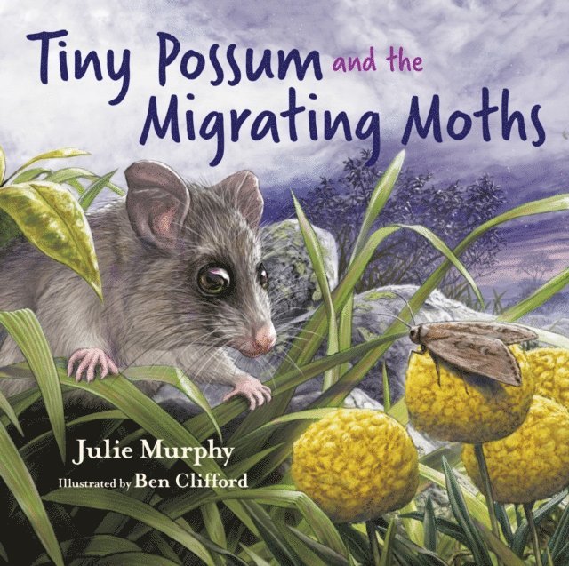Julie Murphy - Tiny Possum and the Migrating Moths, E-bok. Tillgänglighet: Lägg i varukorg