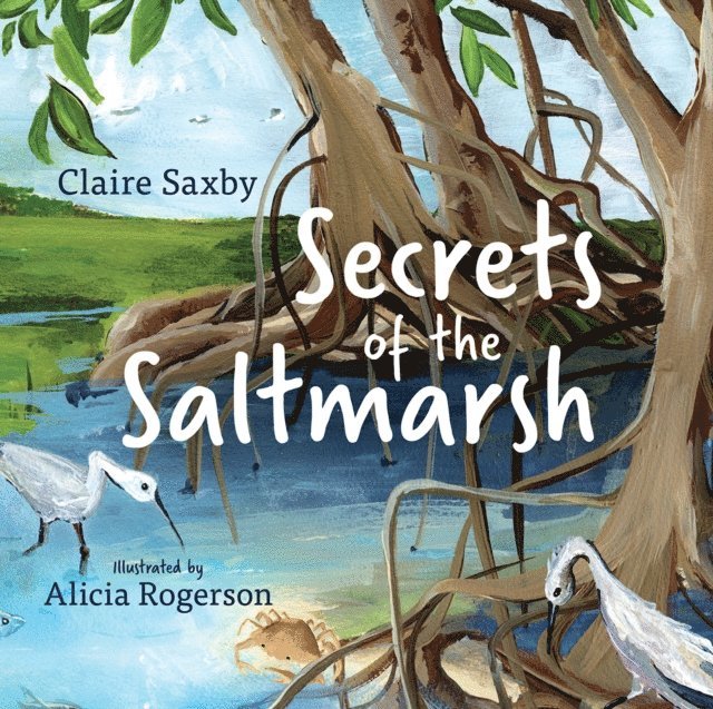 Claire Saxby - Secrets of the Saltmarsh, E-bok
