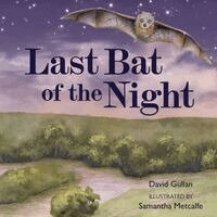 David Gullan - Last Bat of the Night, Häftad. Tillgänglighet: Lägg i varukorg