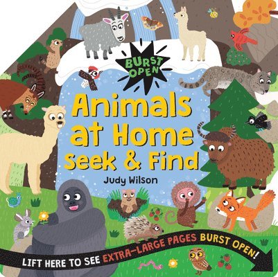 Animals at Home Seek & Find, Inbunden