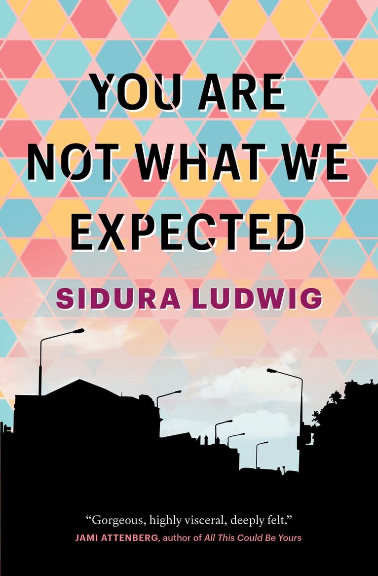 Sidura Ludwig - You Are Not What We Expected, Häftad