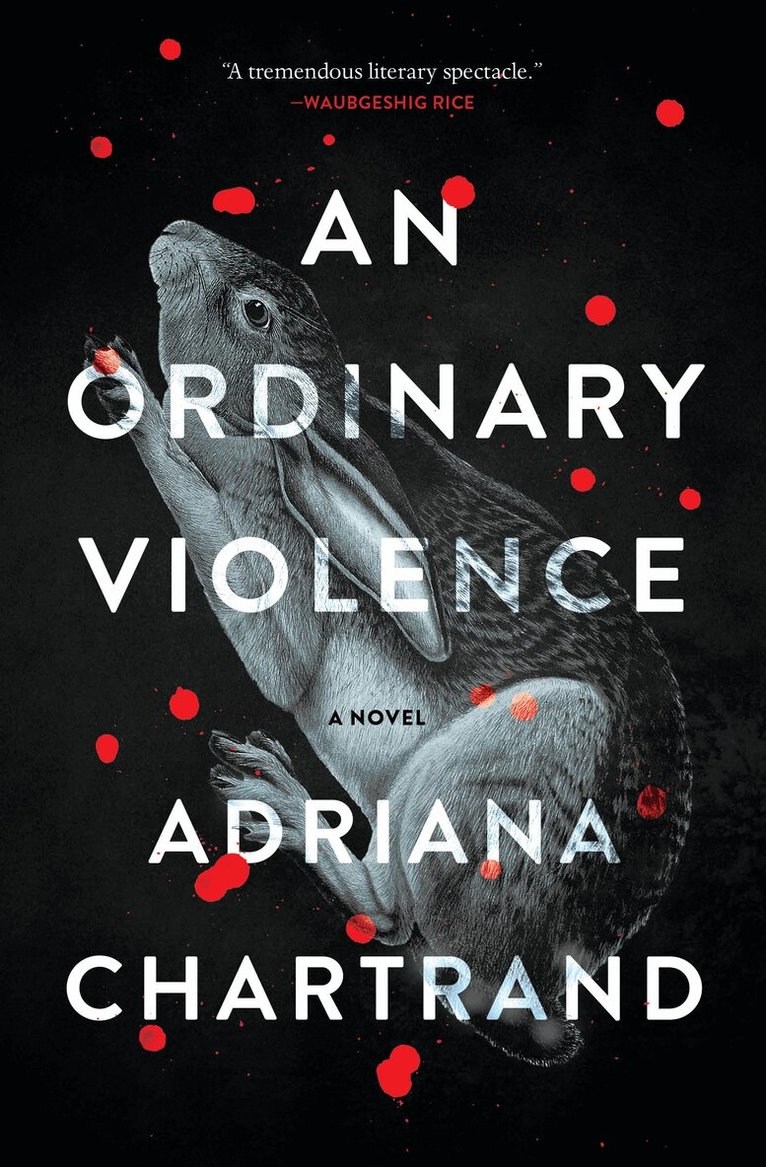 Adriana Chartrand - Ordinary Violence, Häftad