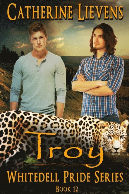 Catherine Lievens - Troy, E-bok