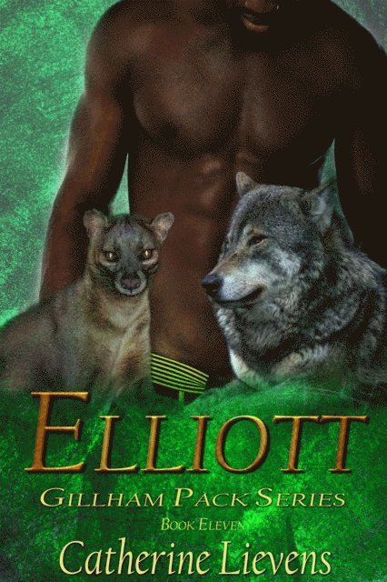 Catherine Lievens - Elliott, E-bok