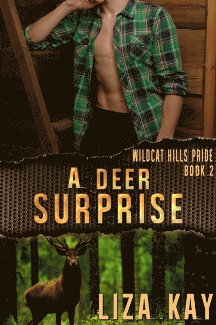 Liza Kay - Deer Surprise, E-bok