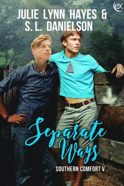 S.L. Danielson, Julie Lynn Hayes - Separate Ways, E-bok. Tillgänglighet: Lägg i varukorg