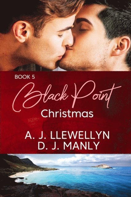 D.J. Manly, A.J. Llewellyn - Black Point Christmas, E-bok