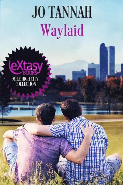 Jo Tannah - Waylaid, E-bok