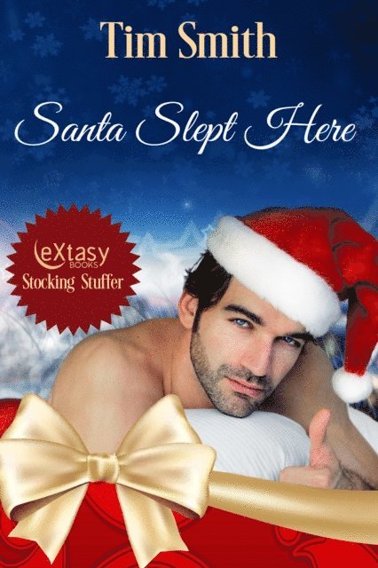 Tim Smith - Santa Slept Here, E-bok