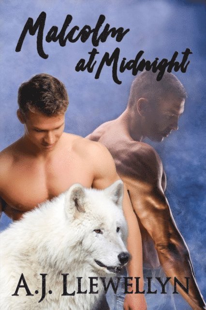 A.J. Llewellyn - Malcolm at Midnight, E-bok