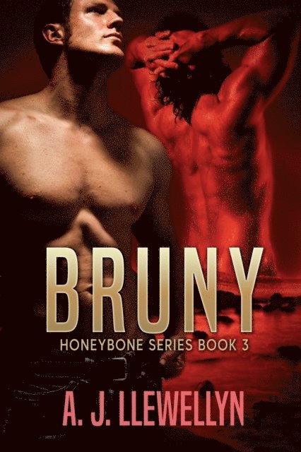 A.J. Llewellyn - Bruny, E-bok