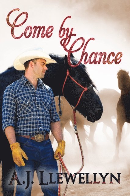 A.J. Llewellyn - Come By Chance, E-bok