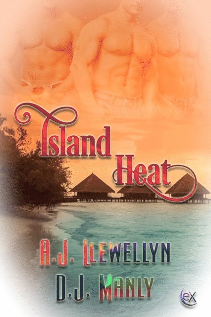 D.J. Manly, A.J. Llewellyn - Island Heat, E-bok