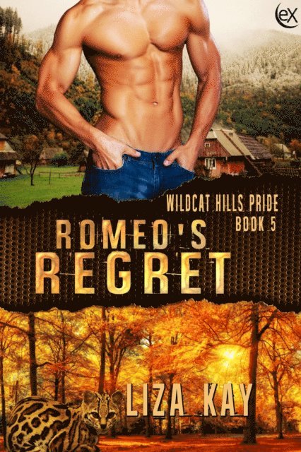 Liza Kay - Romeo's Regret, E-bok