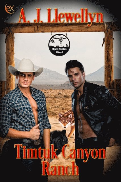 A.J. Llewellyn - Timtuk Canyon Ranch, E-bok