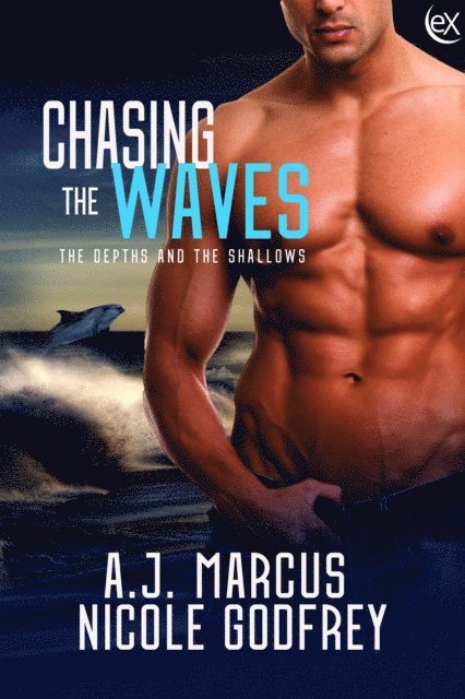 Nicole Godfrey, A.J. Marcus - Chasing the Waves, E-bok. Tillgänglighet: Lägg i varukorg