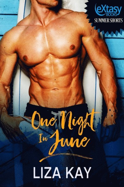 Liza Kay - One Night in June, E-bok