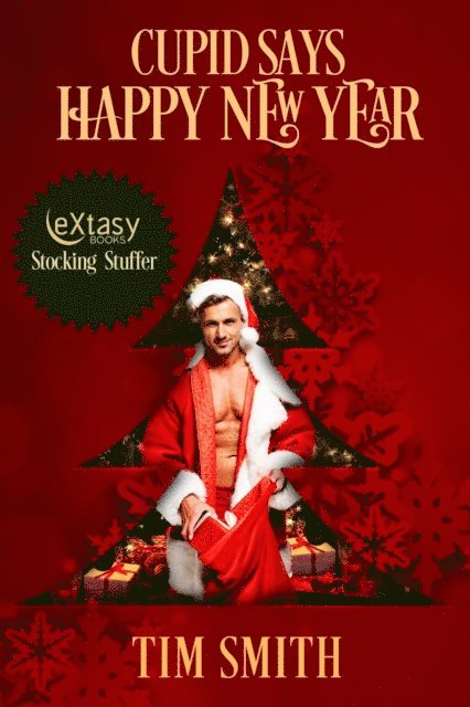 Tim Smith - Cupid Says Happy New Year, E-bok