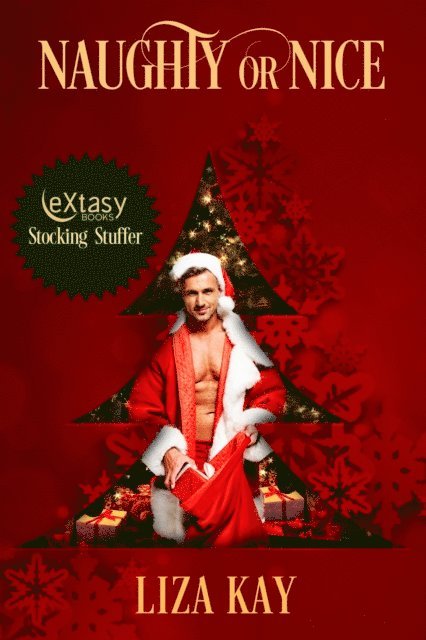 Liza Kay - Naughty or Nice, E-bok