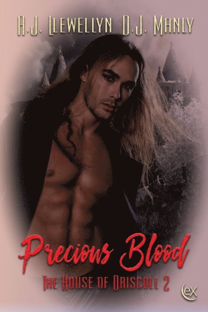 D.J. Manly, A.J. Llewellyn - Precious Blood, E-bok