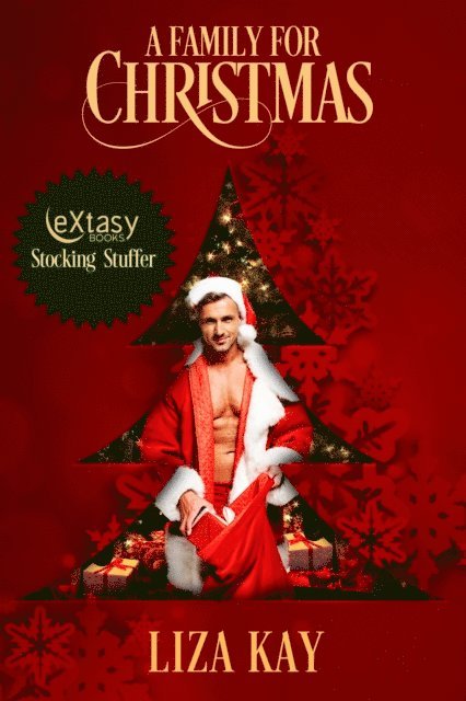 Liza Kay - Family for Christmas, E-bok