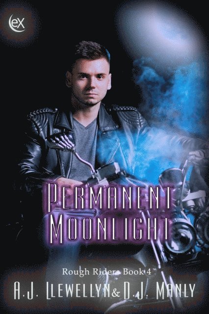 Permanent Moonlight