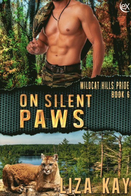 Liza Kay - On Silent Paws, E-bok