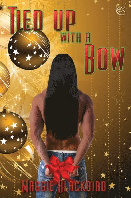 Maggie Blackbird - Tied Up with a Bow, E-bok