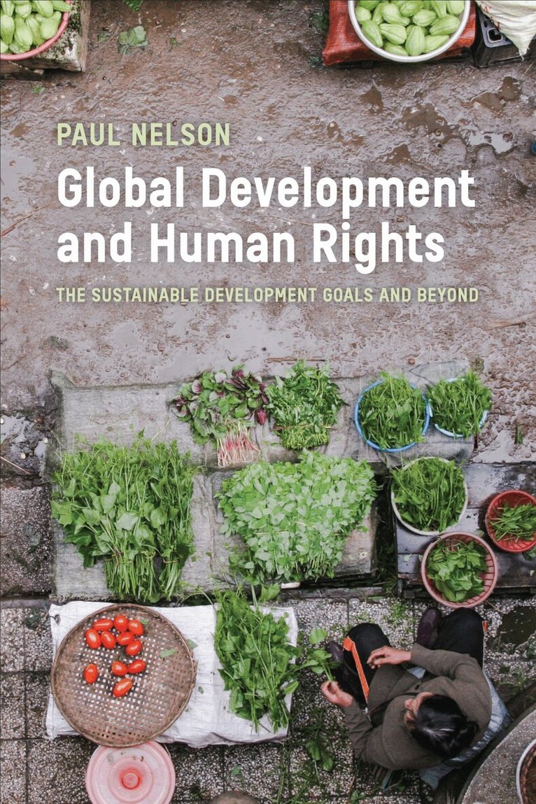 Paul Nelson - Global Development and Human Rights, E-bok
