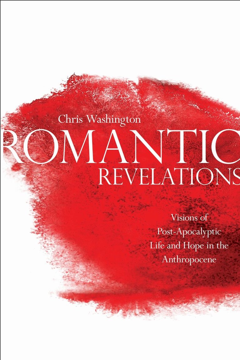 Chris Washington - Romantic Revelations, E-bok