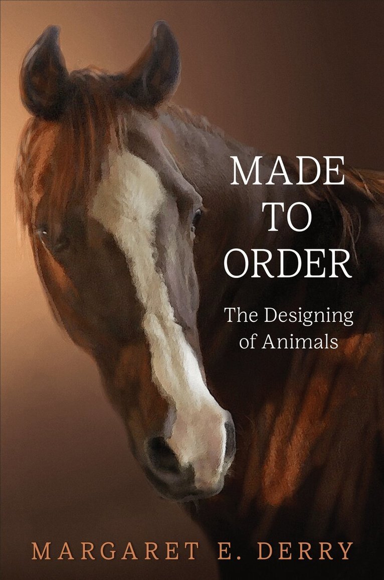 Margaret E. Derry - Made to Order, E-bok