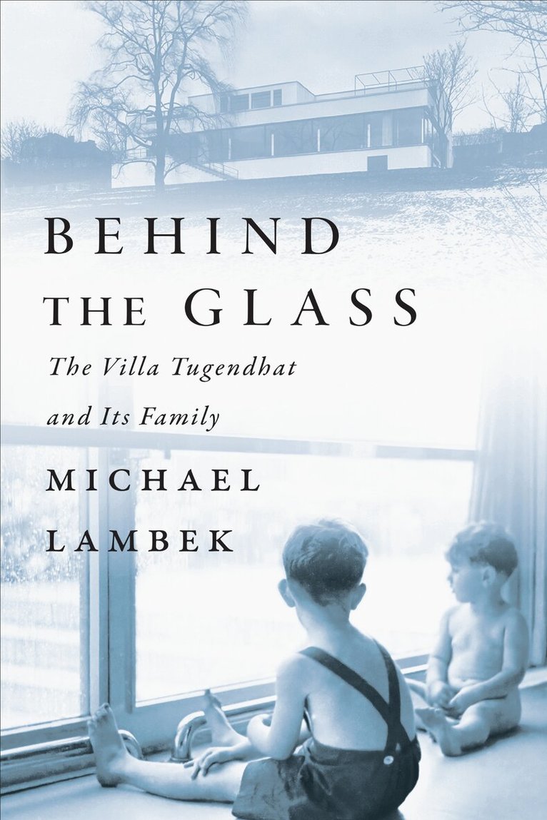 Michael Lambek - Behind the Glass, E-bok