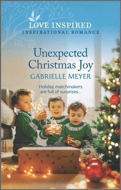 Gabrielle Meyer - Unexpected Christmas Joy, E-bok