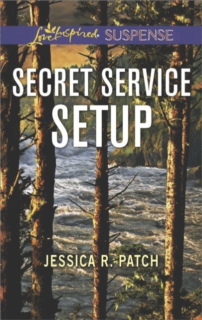 Jessica R. Patch - Secret Service Setup, E-bok
