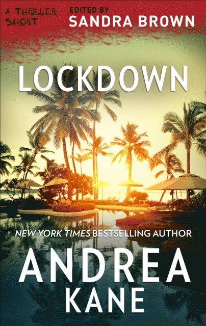Andrea Kane, Sandra Brown - Lockdown, E-bok