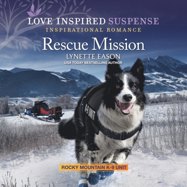 Lynette Eason - Rescue Mission, Ljudbok