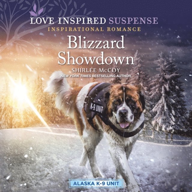 Shirlee McCoy - Blizzard Showdown, Ljudbok