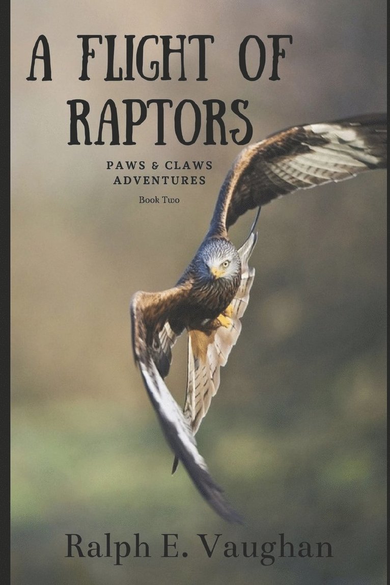 Ralph E Vaughan - Flight of Raptors, Häftad. Tillgänglighet: Lägg i varukorg