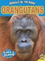 Patricia Miller-Schroder - Orangutans, Häftad. Tillgänglighet: Tillfälligt slut