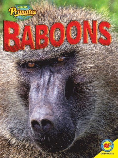 Alexis Roumanis - Baboons, E-bok