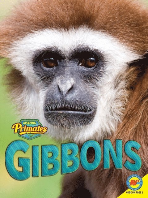 Anita Yasuda - Gibbons, E-bok