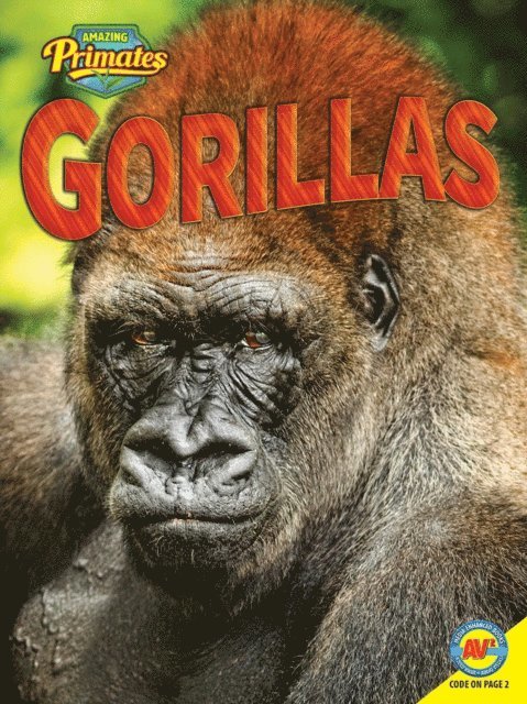 Pamela McDowell - Gorillas, E-bok