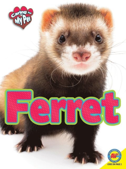 Lynn Hamilton - Ferret, E-bok