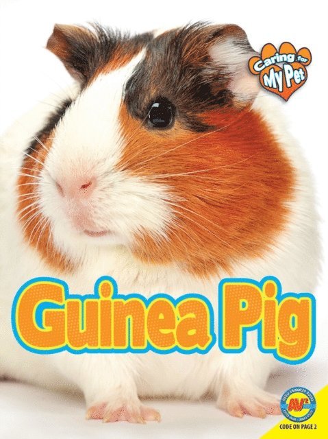 Jill Foran - Guinea Pig, E-bok