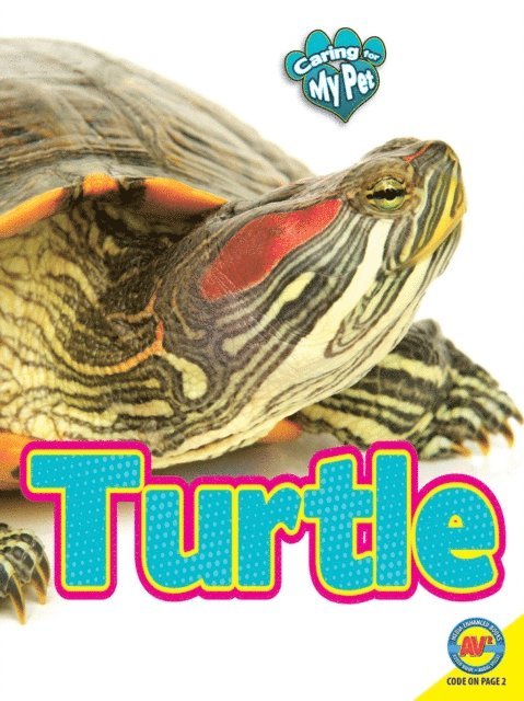 Lynn Hamilton - Turtle, E-bok