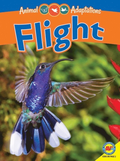 Pamela McDowell - Flight, E-bok